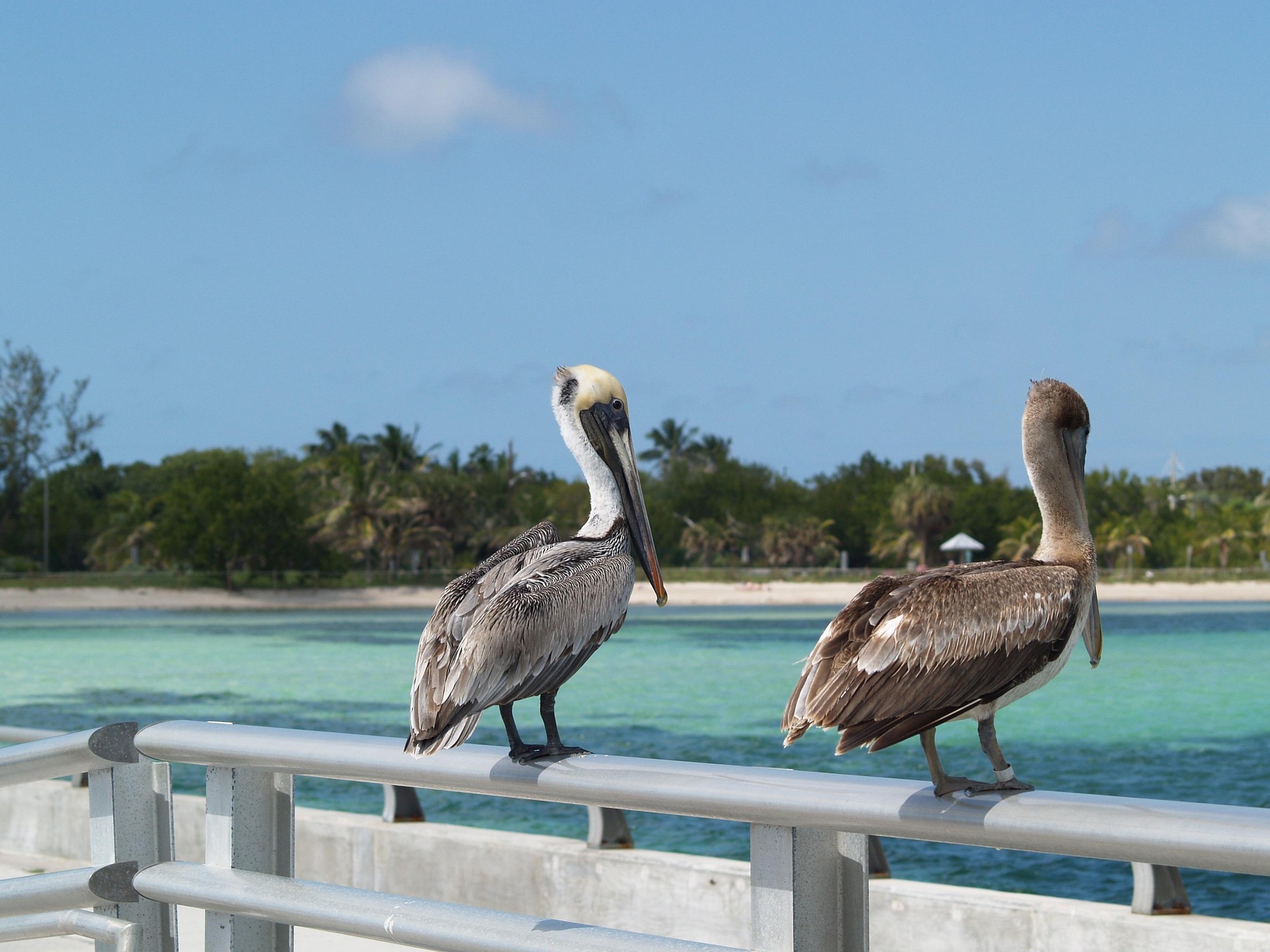 Honeymoon in Key West — Complete Guide