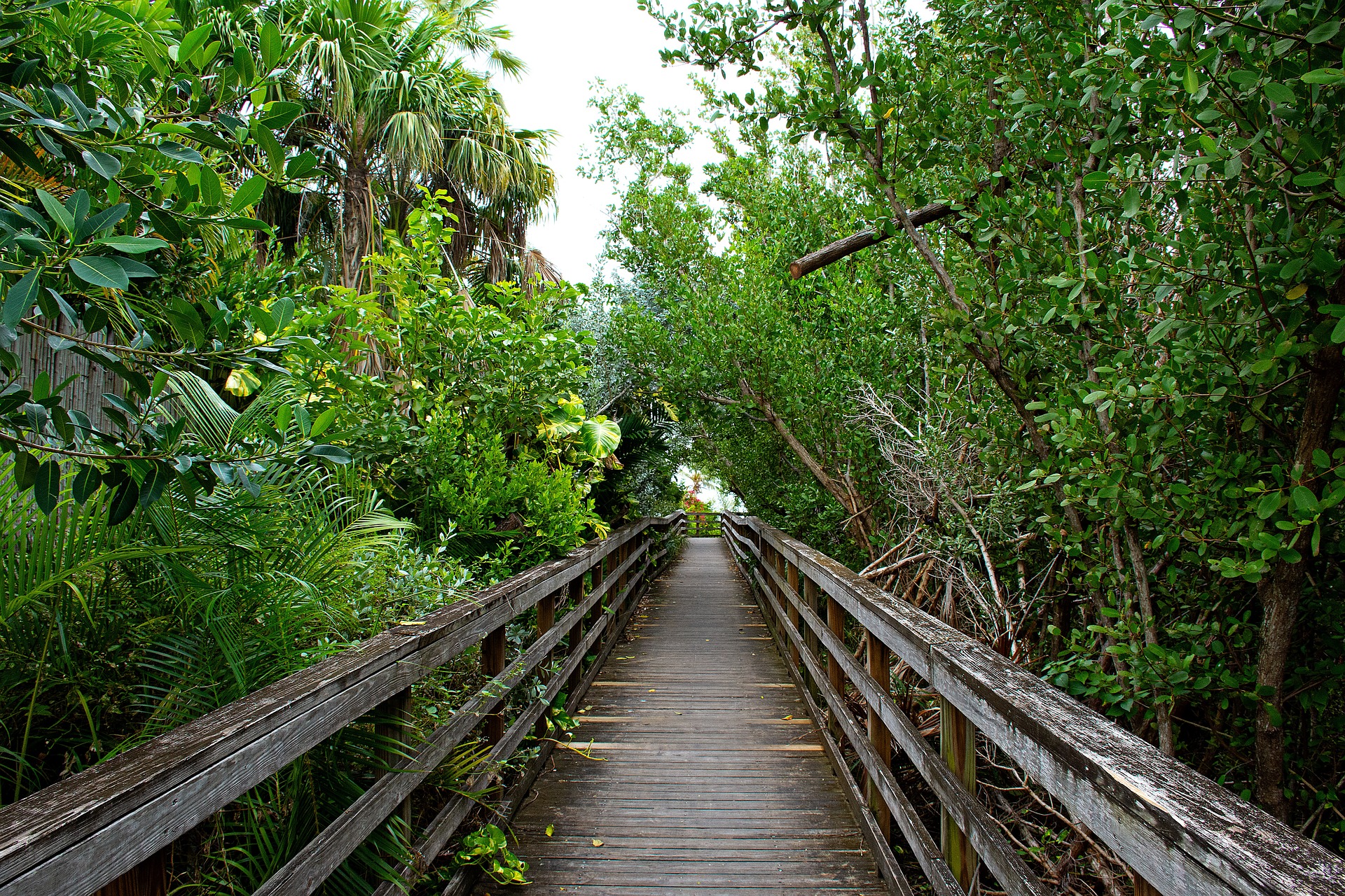 Best Honeymoon Destinations in Texas
