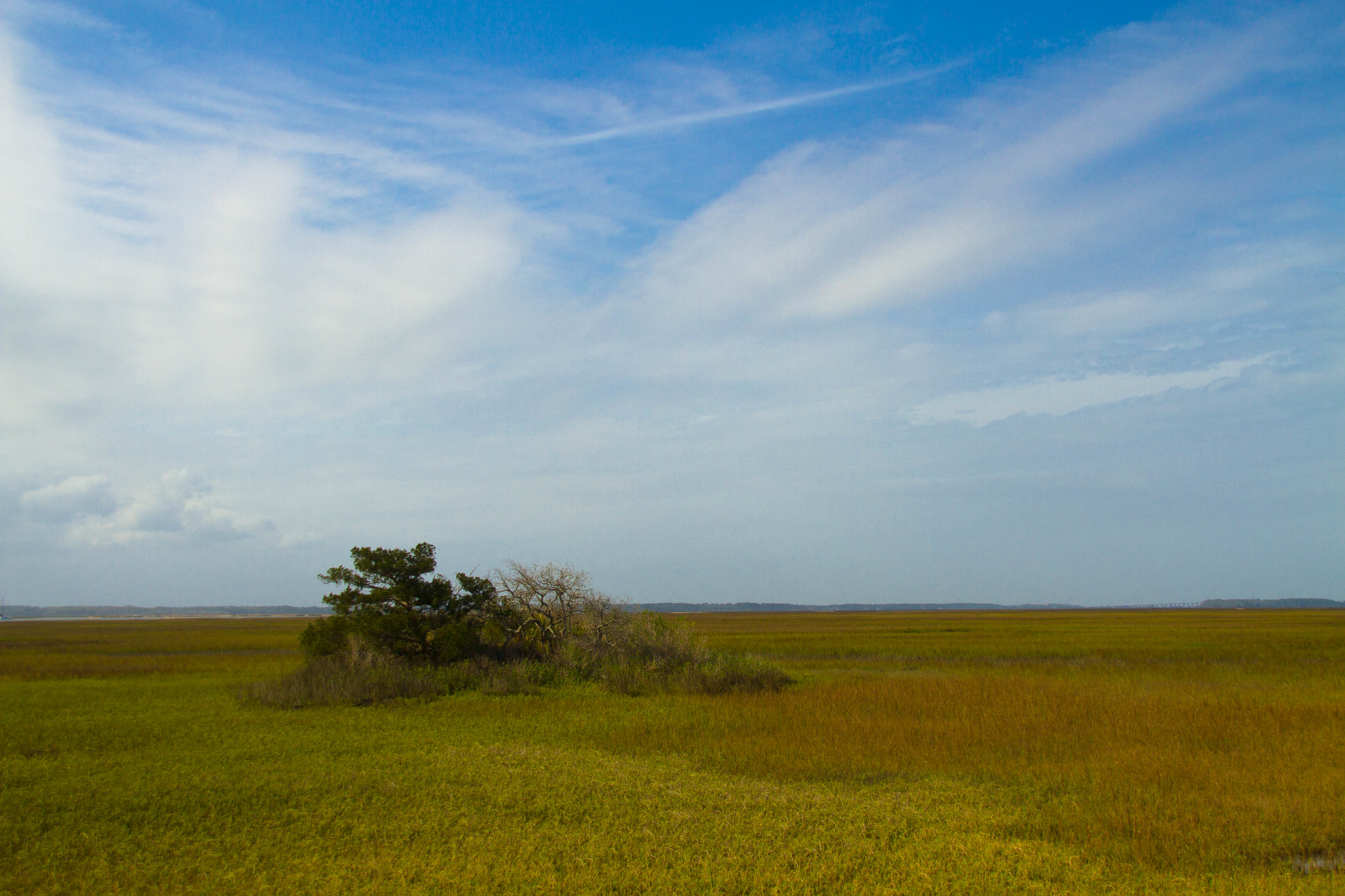Amelia Island