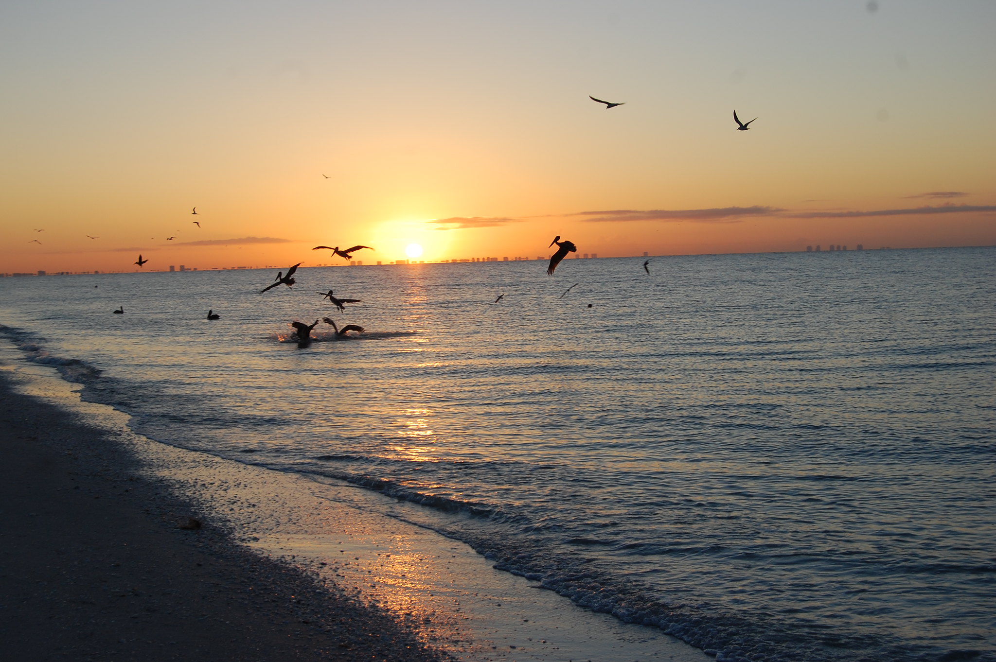 Sanibel Island